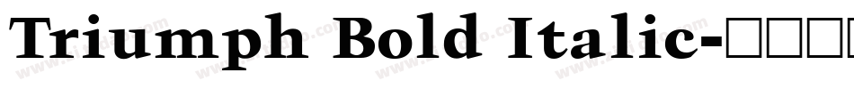 Triumph Bold Italic字体转换